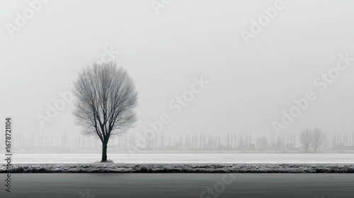 Wallpaper Mural Gray monochrome landscape, lone tree, misty field Torontodigital.ca