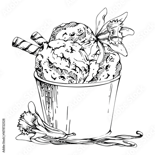 Vanilla ice cream gelato scoop in craft paper cup with waffle rolls, orchid flowers, seed pods. graphic illustration hand drawn in vector ink. Frozen dessert branding, natural flavor tag, cafe decor