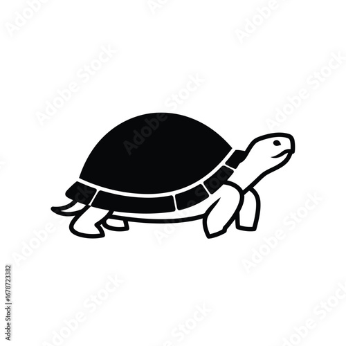 Vector illustration of turtle illustration, a reptile with a shell