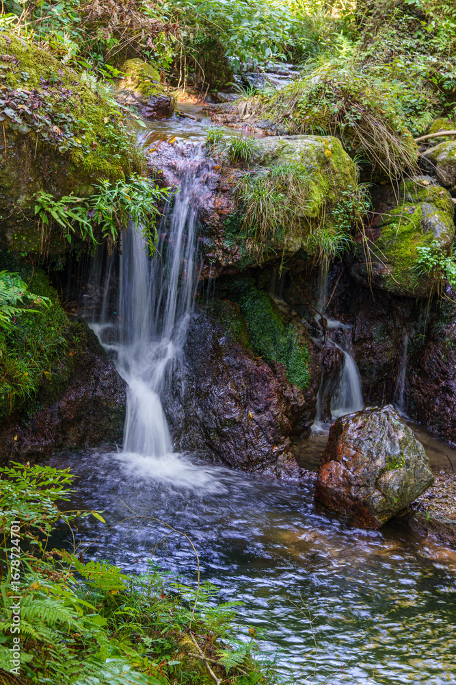 Fototapeta premium 木漏れ日が差し込む森の中の滝