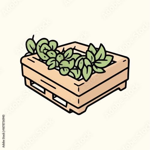 Cartoon illustration of a wooden crate with fresh herbs on a light background