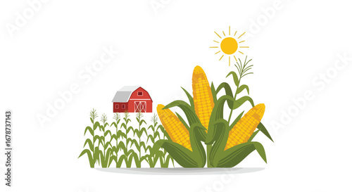 Harvest Season Cornfield Illustration with Red Barn and Radiant Sun in the Backdrop on a Flat Plain Background