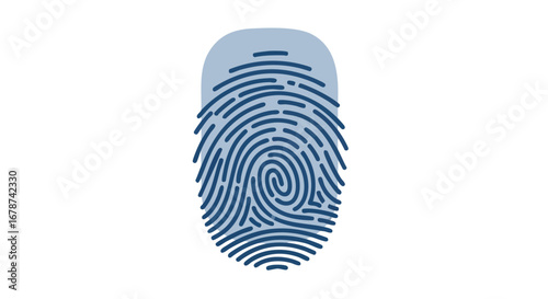 Stylized Fingerprint Illustration with Unique Pattern and Light Blue Hue on White Backdrop for Identification, Security, and Technology Concepts