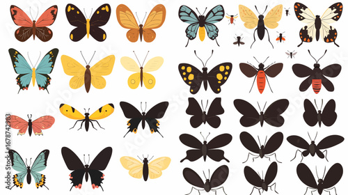 Diversity of Butterfly Species: A vibrant collection of varied butterfly illustrations, showcasing a spectrum of colors and patterns.