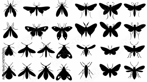 Insect Diversity Silhouettes: A collection of assorted moth silhouettes showcases the diversity of shapes and sizes within the nocturnal insect world, perfect for design purposes.
