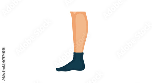 Isolated human leg illustration featuring a blue sock against a clean white backdrop rendering of lower limb apparel fashion