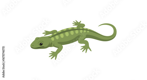 Illustrated green lizard with spots, creating a whimsical image suitable for children's books or educational materials involving reptiles and wildlife