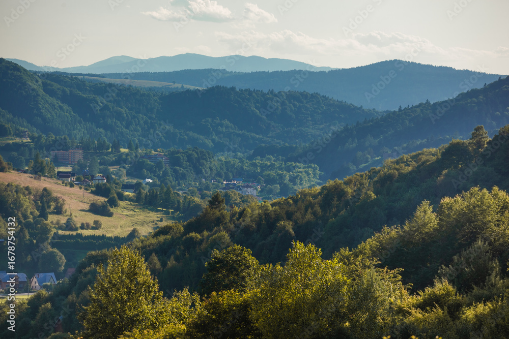 Fototapeta premium Panorama z Nowińskiej Góry nad Muszyną.