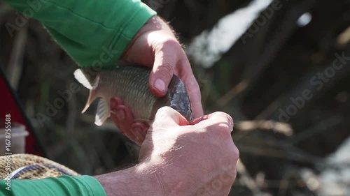 hands of a man  take the fish off the hook