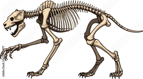 panther of a skeleton