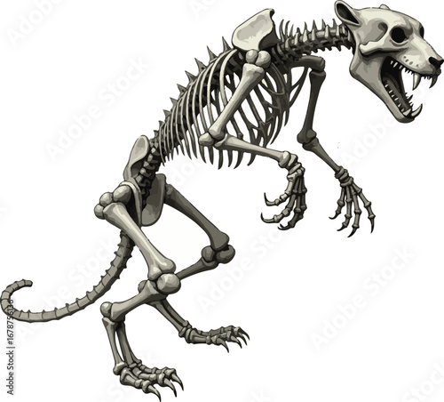 panther skeleton vector file 