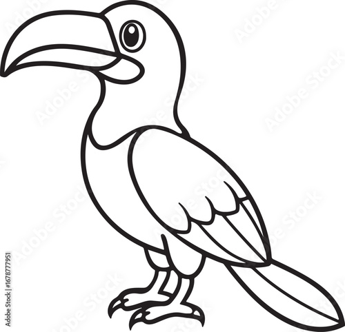 hornbill bird line art, coloring book page line art drawing, vector and illustration