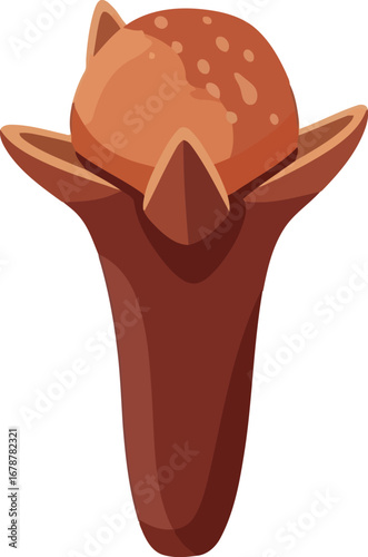 Single clove spice macro isolated on aromatic flavor ingredient for cooking and seasoning vector