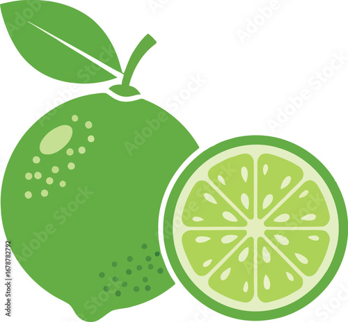 Vibrant green lime whole and sliced fresh citrus fruit healthy ingredient for drinks and food vector