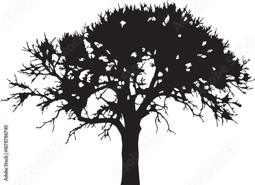 Dry tree with hollow trunk silhouette in silhouette white background.
