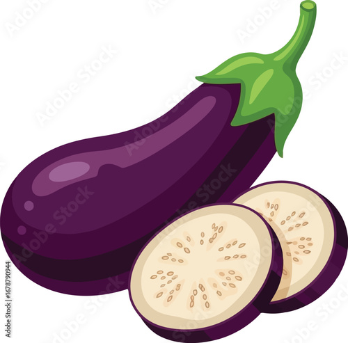 Fresh purple eggplant vegetable healthy food ingredient slice culinary ingredient vector