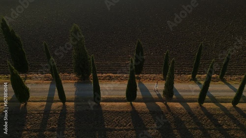 A young woman in a white dress walking along a picturesque road lined with tall cypress trees in Tuscany countryside. Travel lifestyle, romantic adventure and freedom.