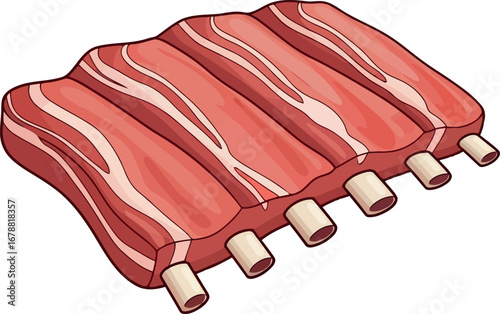Raw beef ribs rack isolated for culinary preparation and grilling vector