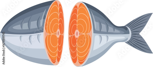 Fresh salmon fillet cut in half omega 3 healthy food ingredient vector