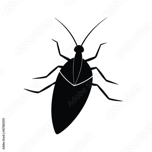vector illustration of a water boatman