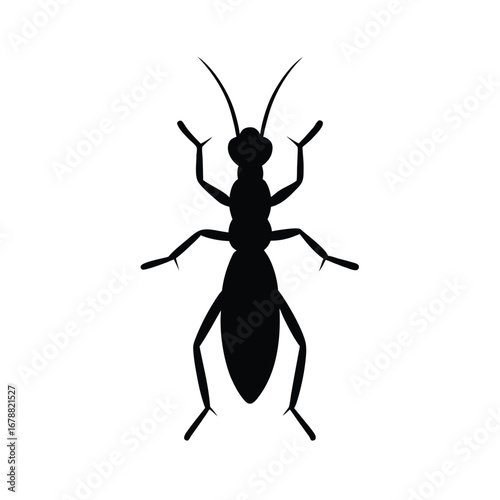 silhouette of a termite