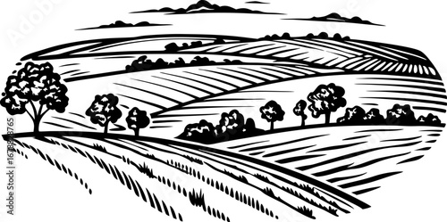 Rolling agricultural fields landscape illustration hand drawn rural farmland with trees, hills, and crop patterns
