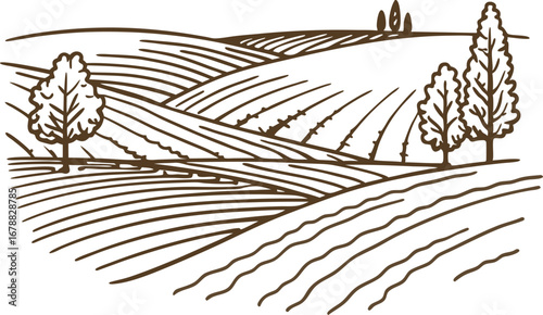 Rolling countryside fields with trees farmland landscape sketch, rural nature, peaceful agricultural hills
