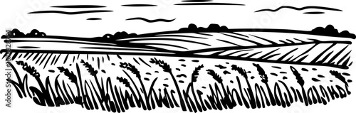 Wheat field landscape illustration hand drawn rural farmland, harvest, countryside scene with crop and horizon
