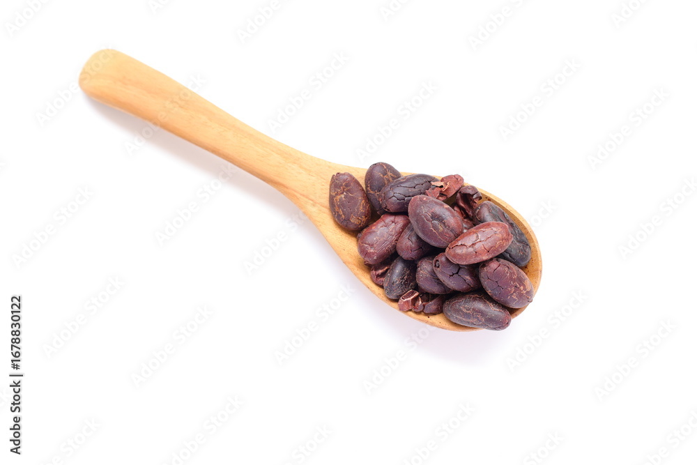 Fototapeta premium cocoa beans and spoon