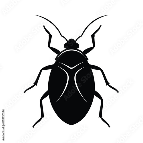 kissing bug isolated on white