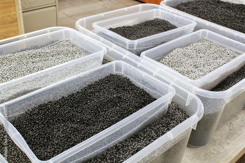 Schilderij op canvas Clear Plastic Containers Filled with Granular Material