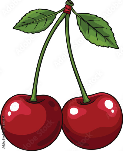 Illustration of two bright red cherries hanging with green leaves on a white background view