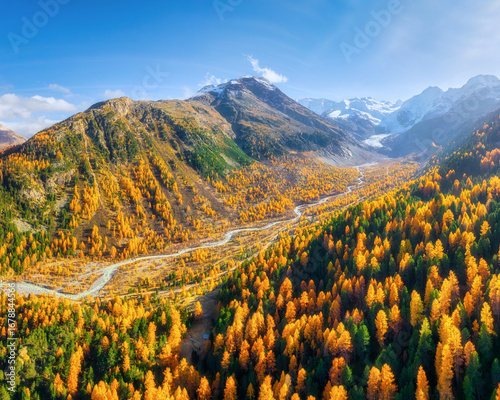 Drone view of a mountain valley. River in the middle of the forest. Autumn la...