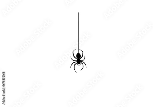 Photography Single Black Spider Hanging on a Web.