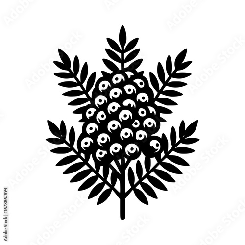 rowan bunch black vector icon with transparent background 