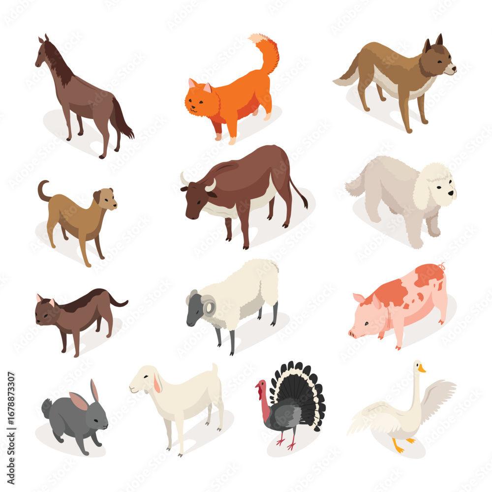 Obraz premium Farm animals isometric set. Domestic animals in 3d back and front view. Cute game character of farm animals. Vector icons