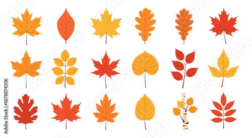 Vector Icons Set of A diverse collection of colorful autumn leaves vector illustration. EPS Editable