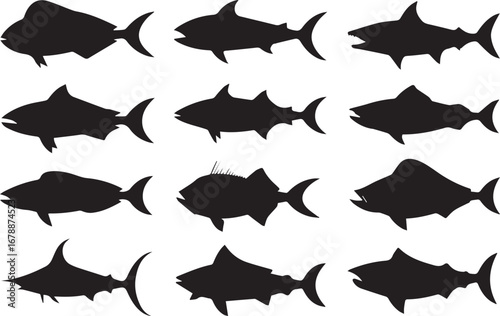 fish icon silhouette vector grid with 12 species shapes for design marine illustration education ai eps png jpeg files