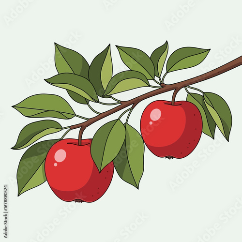 Red apples on a branch with green leaves.
