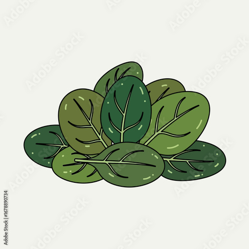 Pile of green leafy vegetables on a light background.