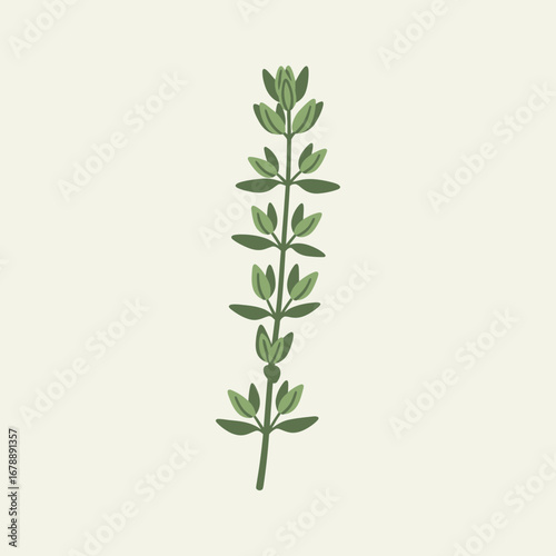 Simple illustration of a green plant stem with leaves.