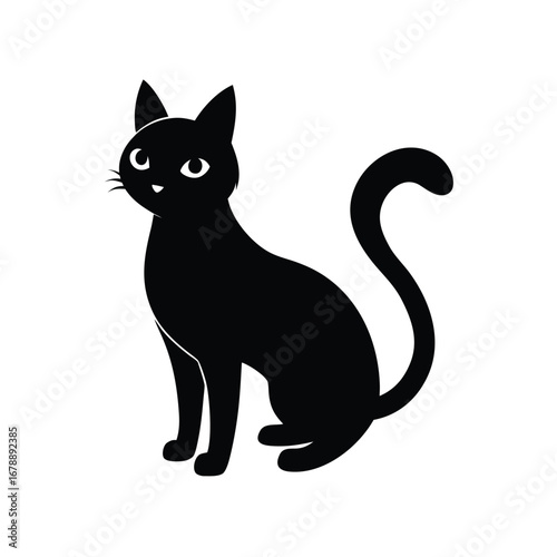 black and white cat