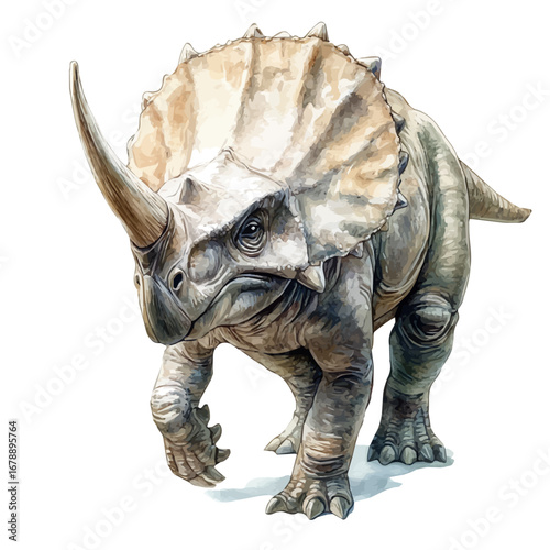 Triceratops, watercolor painting vector, isolated on a white background.