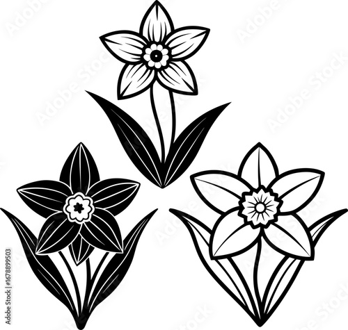 Flower outline shape set, Set of flowers, flower collection, Vector of flower, flower silhouette, flower isolated on white background