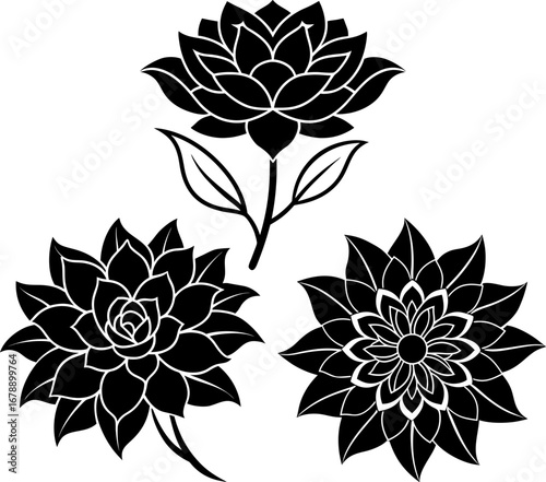 Flower set, Set of flowers, flower collection, Vector of flower, flower silhouette, flower isolated on white background