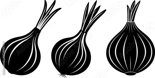 Garlic set, Set of garlic, garlic collection, Vector of garlic, garlic silhouette, garlic isolated on white background