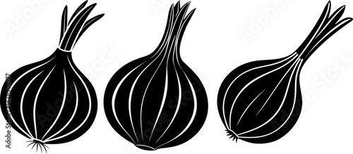 Garlic set, Set of garlic, garlic collection, Vector of garlic, garlic silhouette, garlic isolated on white background