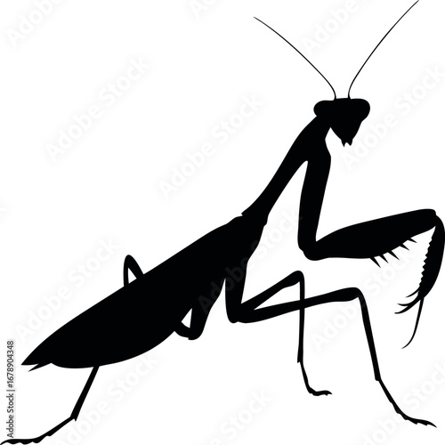 praying mantis silhouette design wild bug animal on eps white background