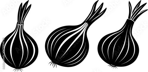 Garlic set, Set of garlic, garlic collection, Vector of garlic, garlic silhouette, garlic isolated on white background