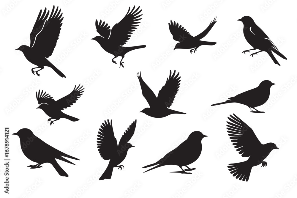 Obraz premium Vector silhouette set of flying wild birds